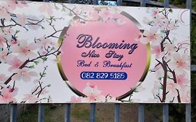 Blooming Nice Stay