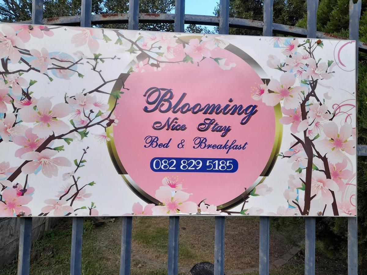 Blooming Nice Stay Harrismith Exterior photo